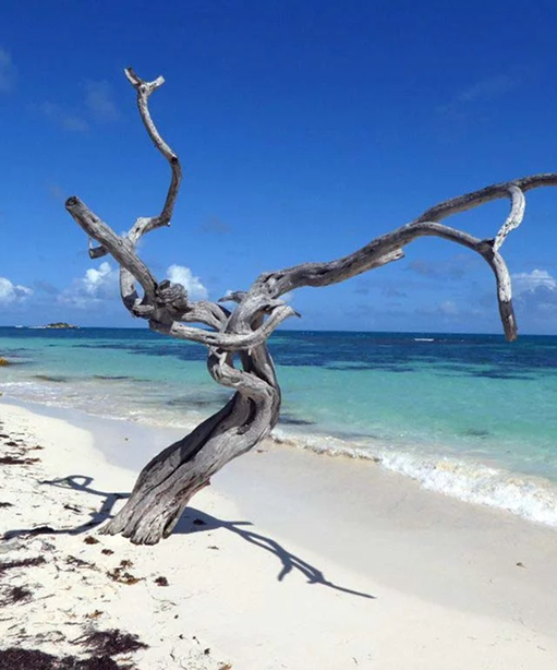 cancun-hotel-zone-1 3